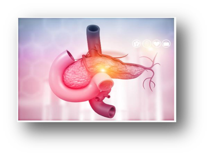 Pancreas & Related Cancers: Emerging Topics in 2026 Banner